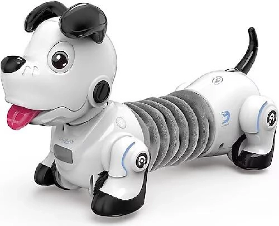 U/K AKILLI KÖPEK