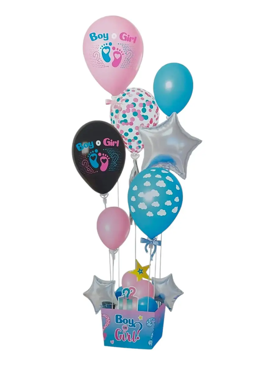 BALON STANDI CİNSİYET