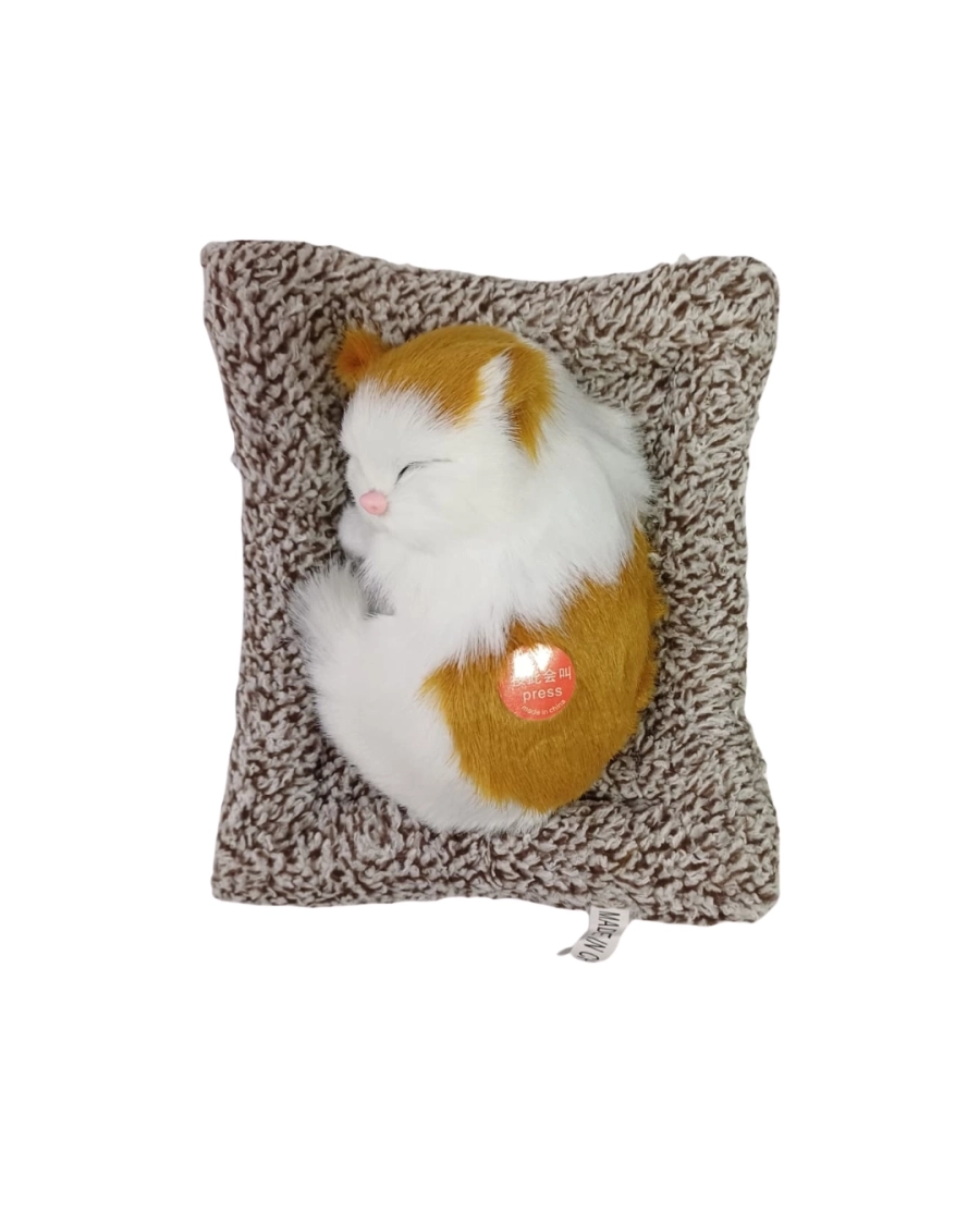 KÜÇÜK YATAKLI KEDİ