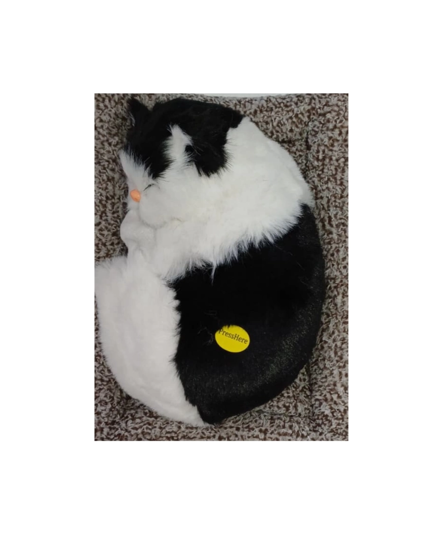BÜYÜK  YATAKLI KEDİ