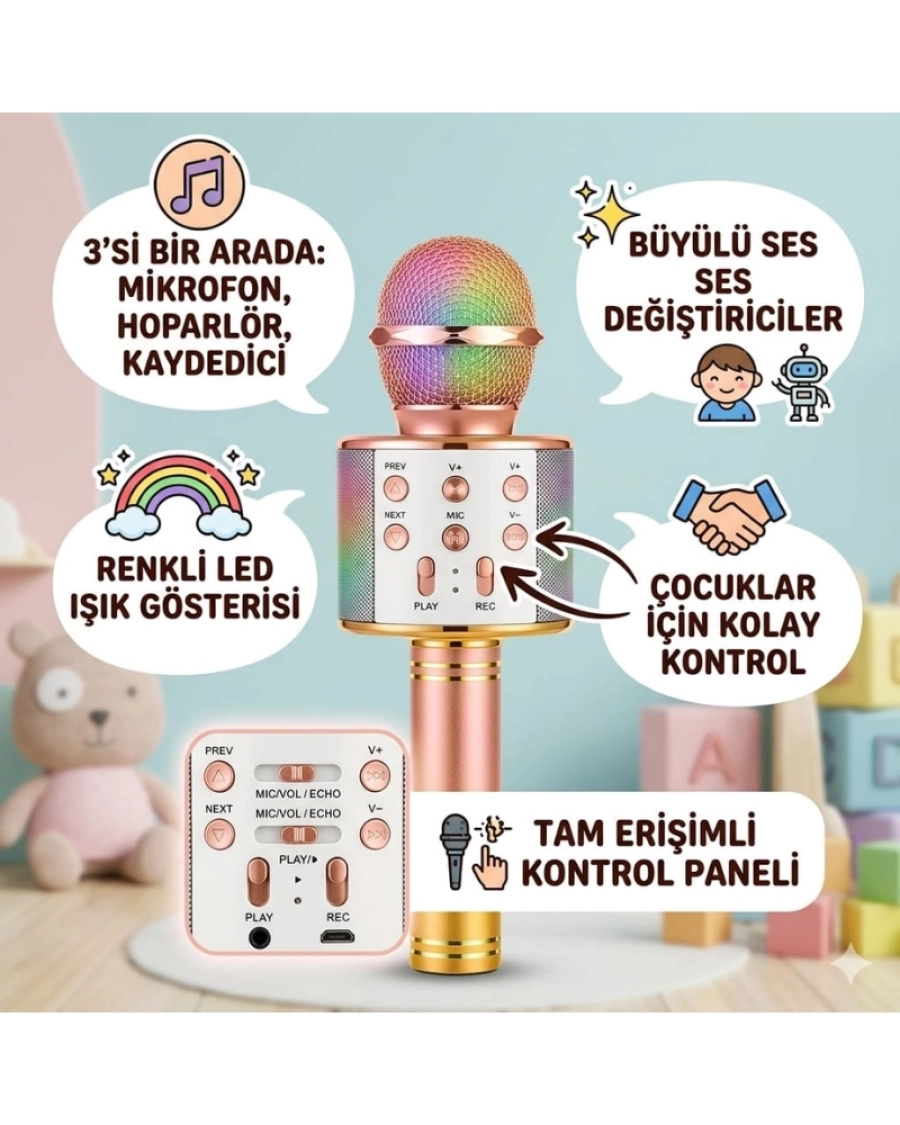 KUTULU KARAOKE MİKROFON