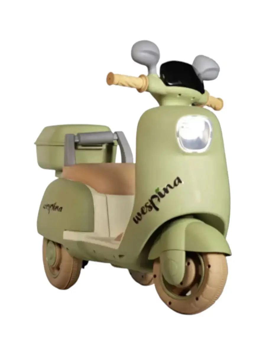 WESPİNA AKÜLÜ KUMANDALI MOTOR