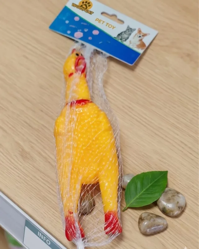 KÜÇÜK SESLİ  HOROZ